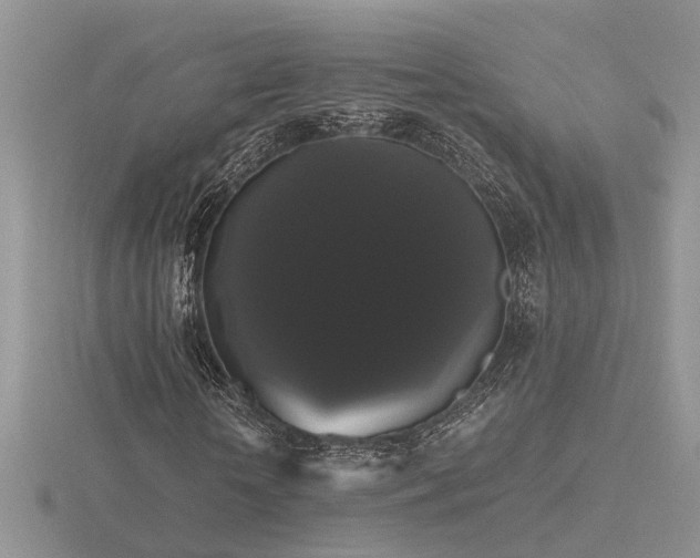 X0000116480818200912091358