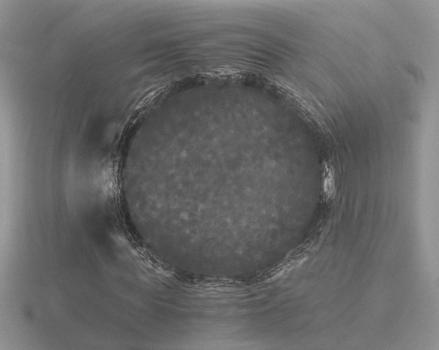 X0000116480819200912091358