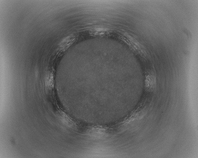 X0000116480820200912091358