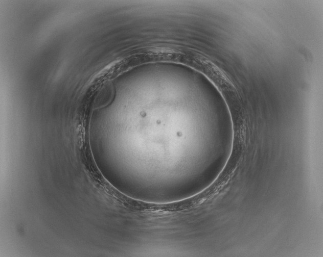 X0000116480821200912091358