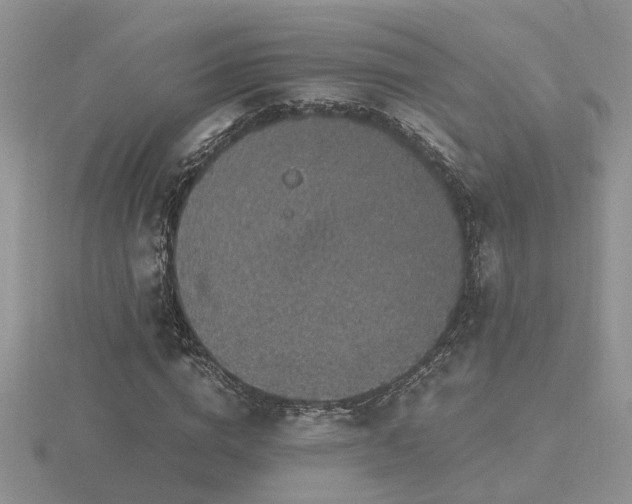 X0000116480824200912091358