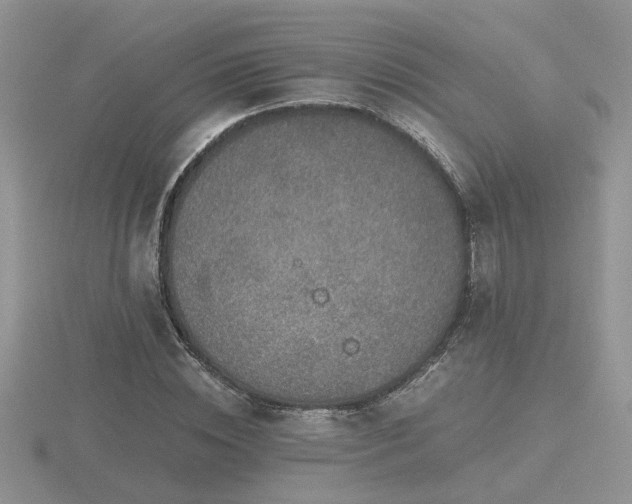 X0000116480828200912091358