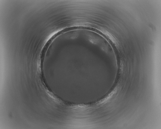 X0000116480830200912091358