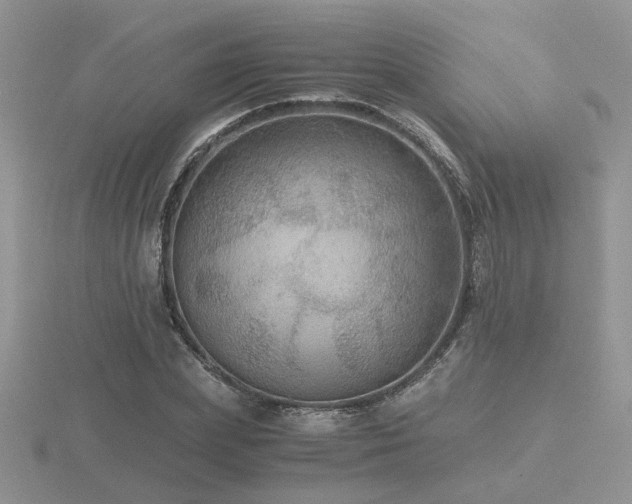 X0000116480831200912091358