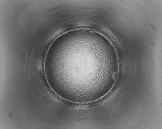 X0000116480833200912091358