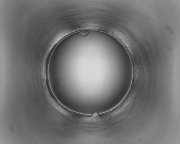 X0000116480843200912091358