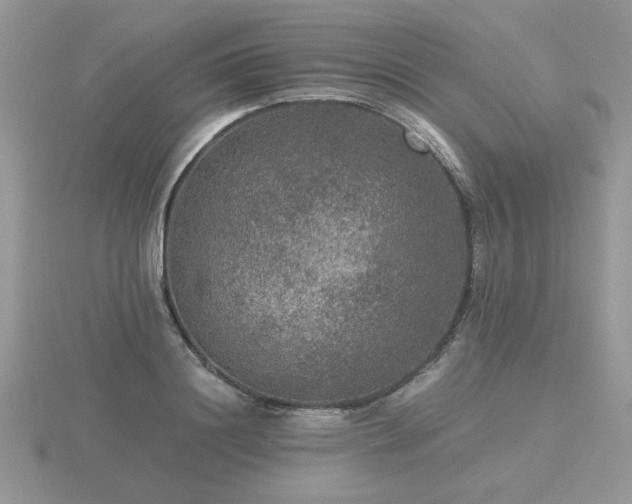 X0000116480844200912091358