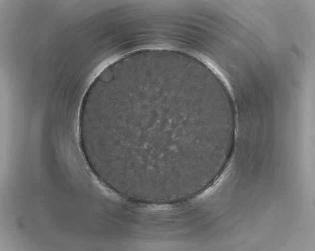 X0000116480845200912091358