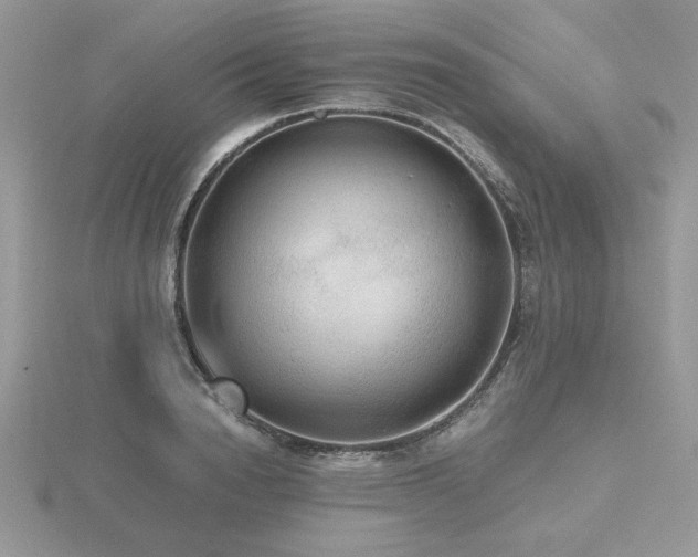 X0000116480846200912091358