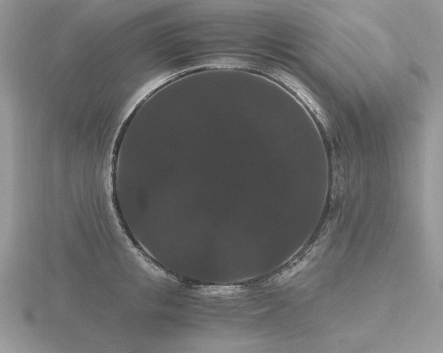 X0000116480853200912091358