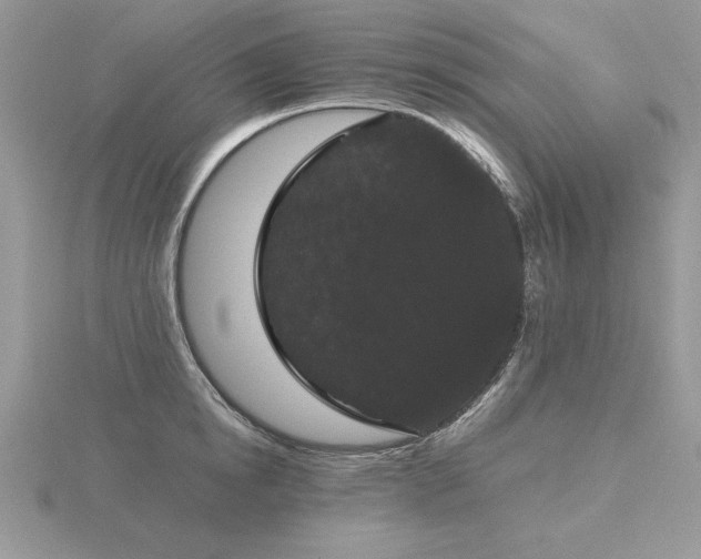 X0000116480854200912091358