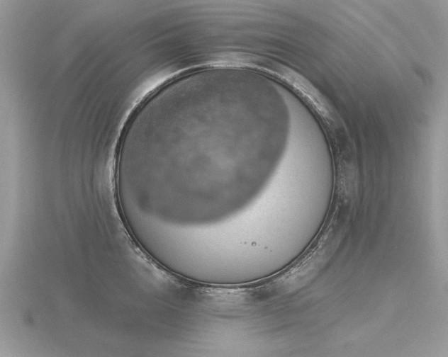 X0000116480856200912091358