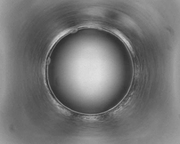 X0000116480861200912091358