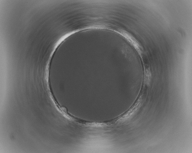 X0000116480862200912091358