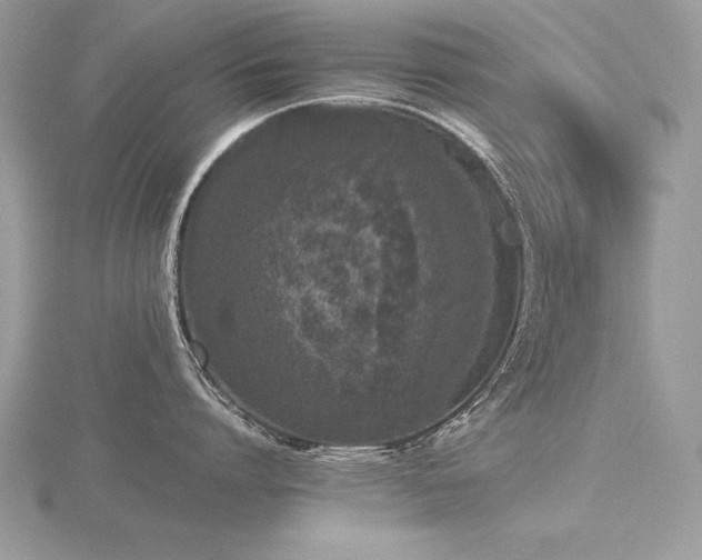 X0000116480864200912091358