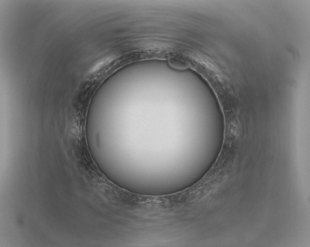 X0000116480869200912091358