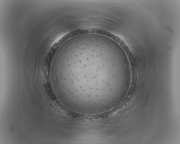 X0000116480871200912091358