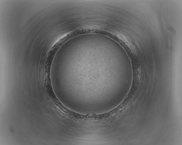 X0000116480872200912091358