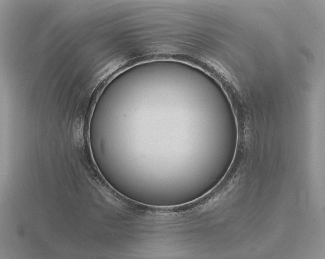 X0000116480873200912091358