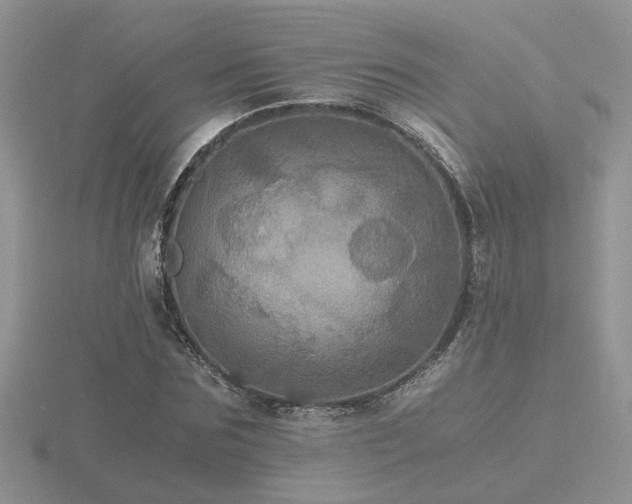 X0000116480875200912091358