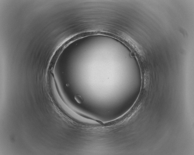 X0000116480876200912091358