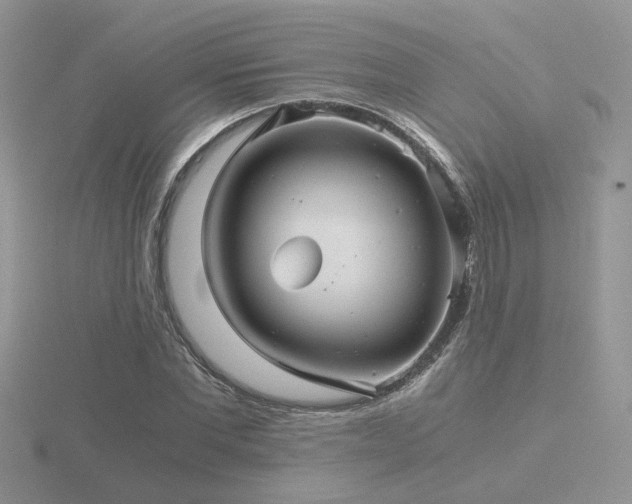 X0000116480877200912091358