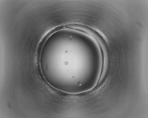 X0000116480878200912091358