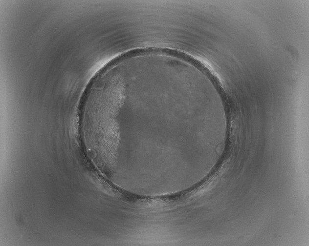 X0000116480879200912091358