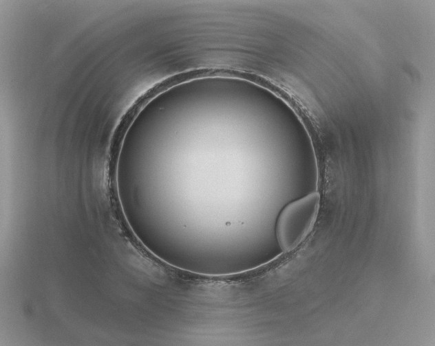 X0000116480880200912091358