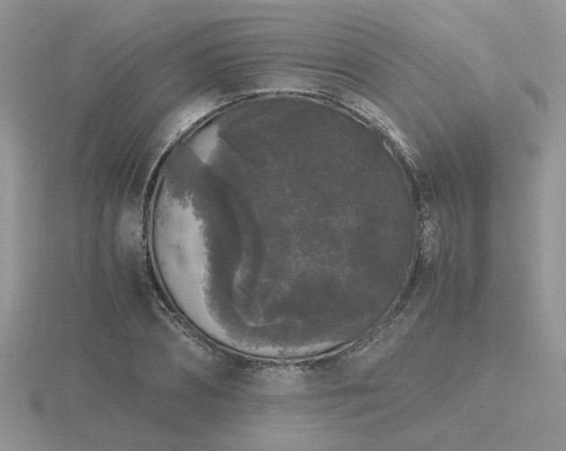 X0000116480882200912091358