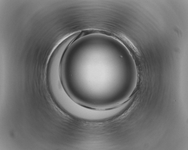 X0000116480884200912091358