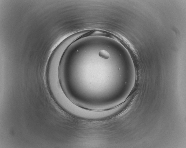 X0000116480885200912091358