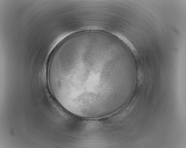 X0000116480886200912091358