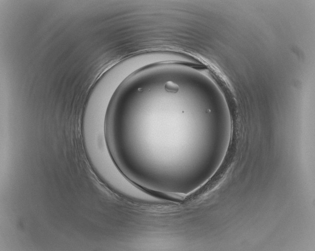 X0000116480889200912091358