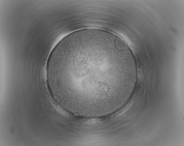 X0000116480891200912091358