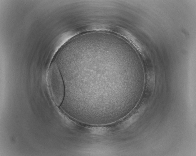 X0000116480893200912091358