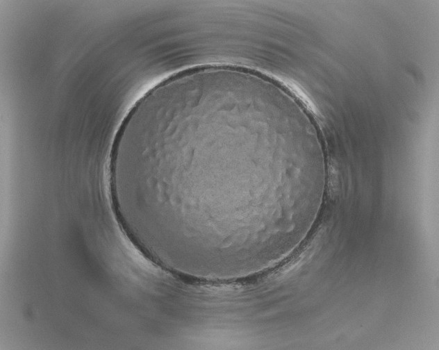 X0000116480895200912091357