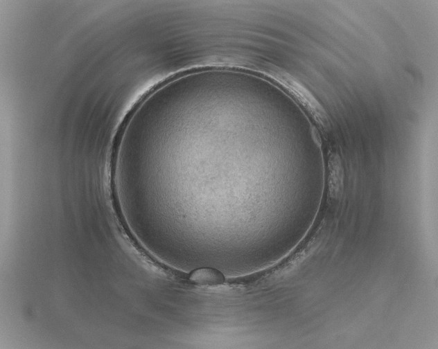 X0000116480896200912091357