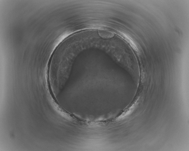 X0000116480899200912091357