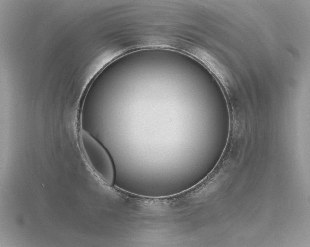 X0000116480901200912091357