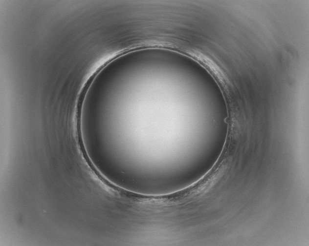 X0000116480902200912091357