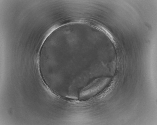 X0000116480907200912091357