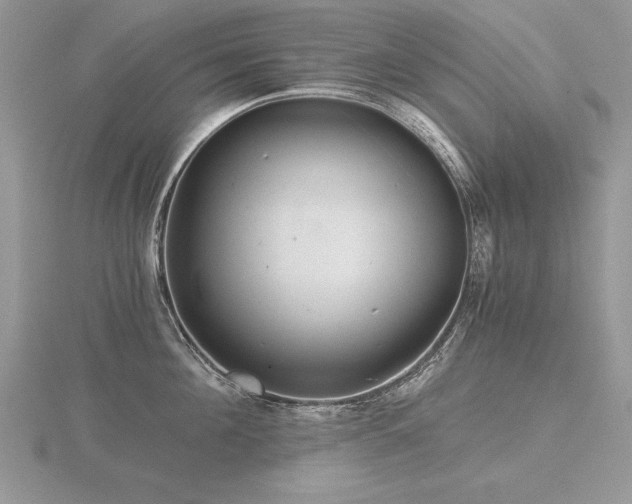 X0000116480908200912091357