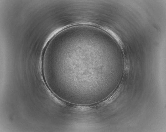 X0000116480910200912091357