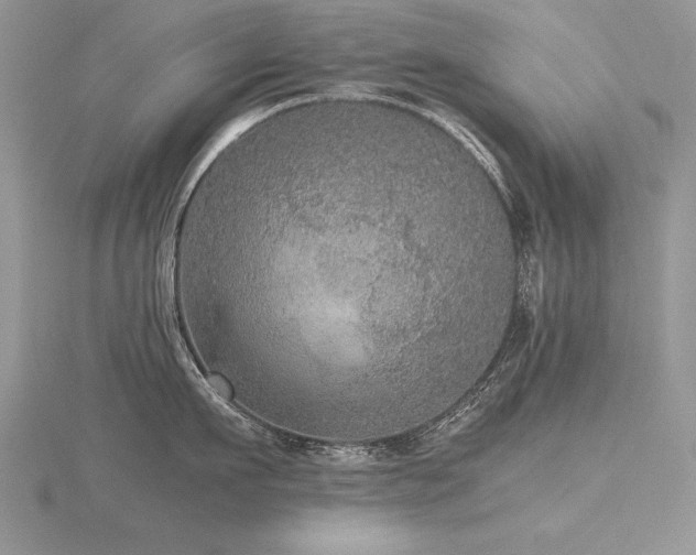 X0000116480911200912091357