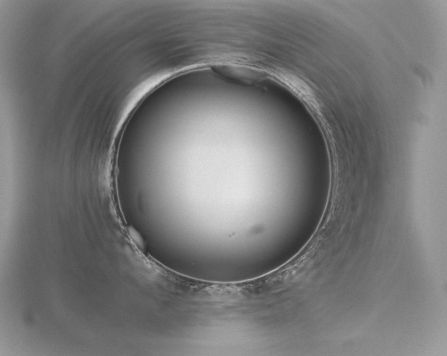 X0000116480912200912091357