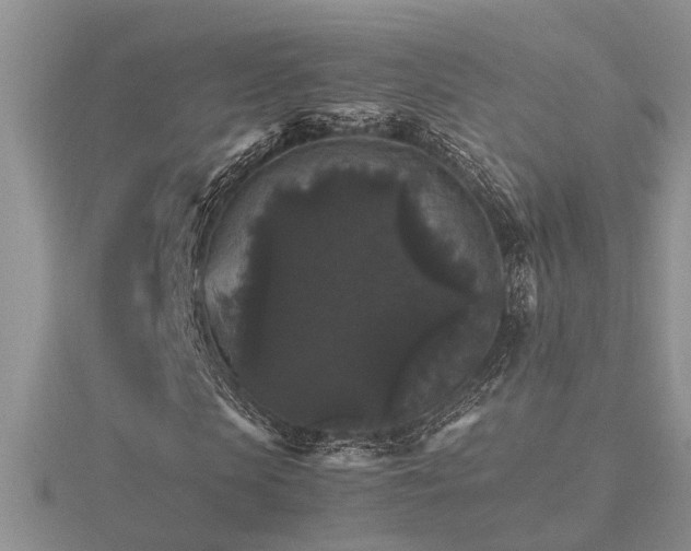 X0000116480913200912091357