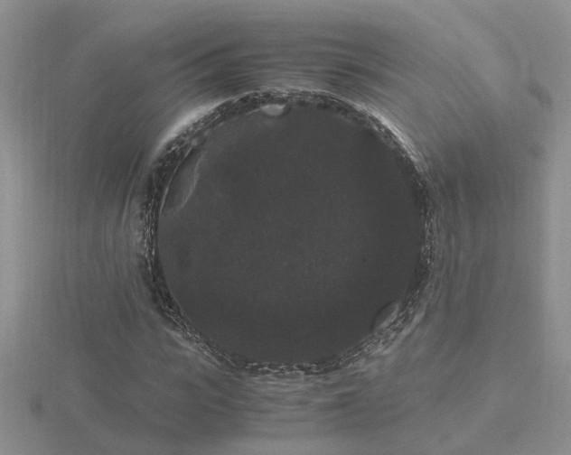 X0000116480919200912091357