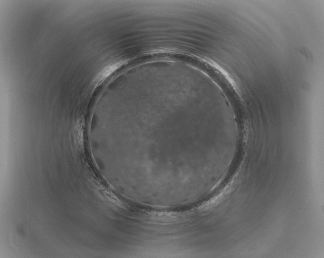 X0000116480921200912091357