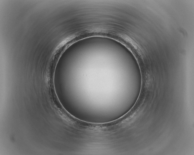 X0000116480922200912091357